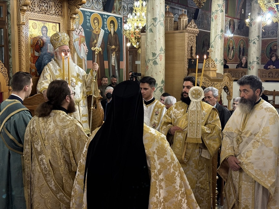 theia leitouyrgia sesklo 4