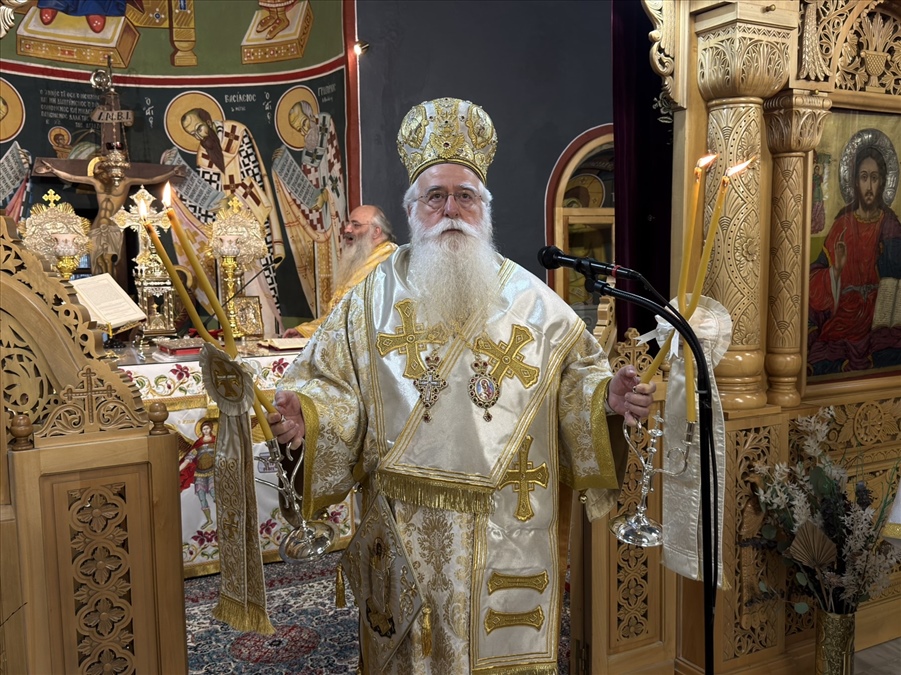 theia leitouyrgia sesklo 6