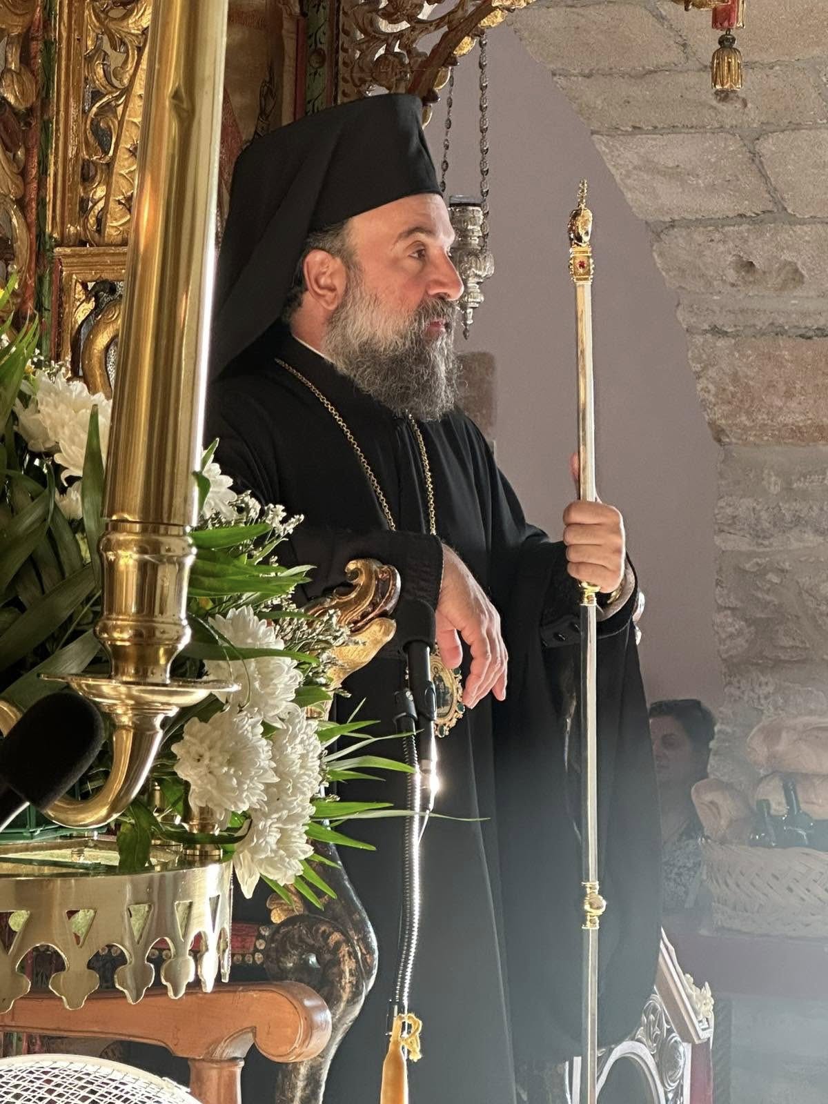 528054537 733468229443334 5386486855008445406 n