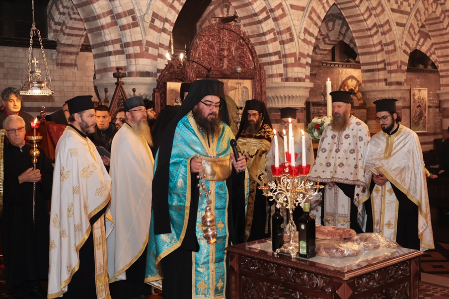 Photo 29 11 2025 20 10 54 78