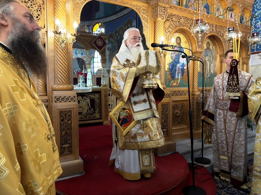 leitoyrgia agria xeirothesia 6