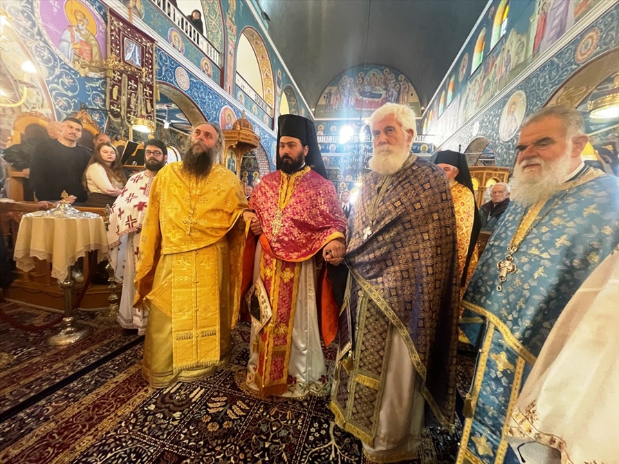 leitoyrgia agria xeirothesia 8