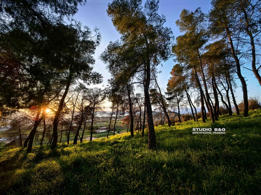 IMG 20250210 174228 1