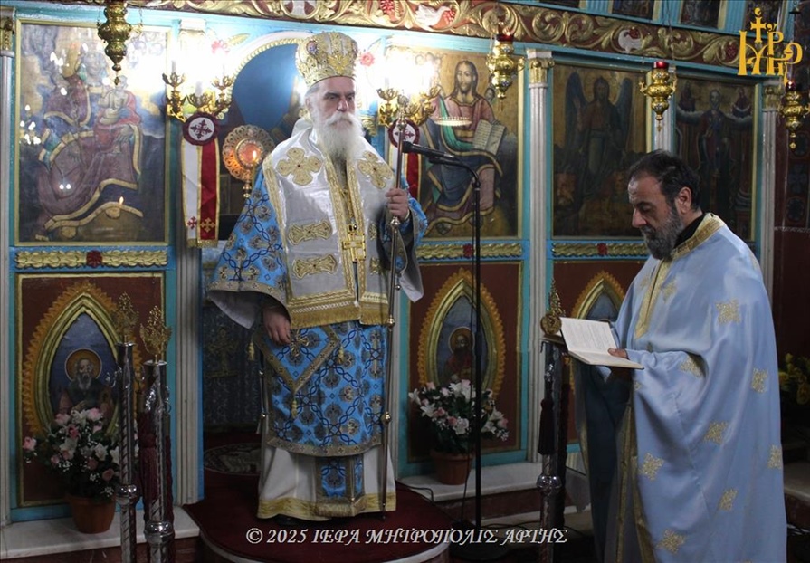 IMG 0488