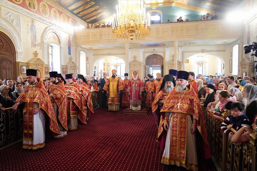 v7db8a06pg498rgzqixvrvs0qnm92y5d