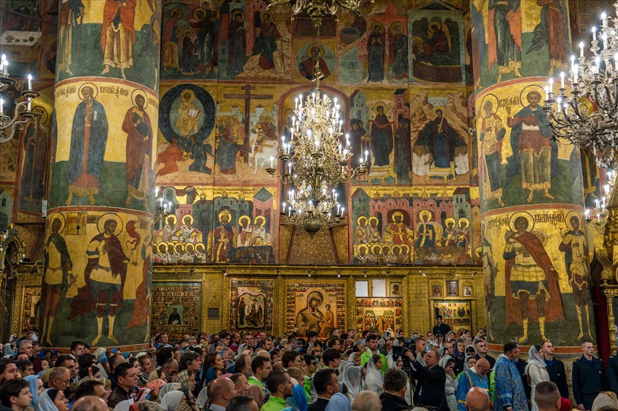 z7x0rnfs49mphzc82641p7d3gn3s5l97